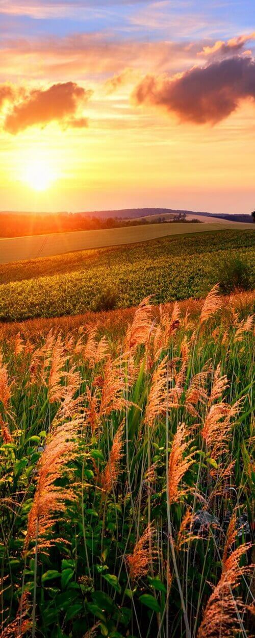 Пример изображения для макета изображения на стекле, фото 14